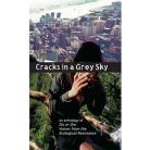 Cracks in a Grey Sky. An Anthology of Do or Die: Voices from the Ecological Resistance