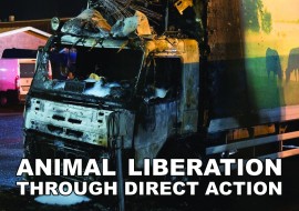 Animal Liberation Trough Direct Action