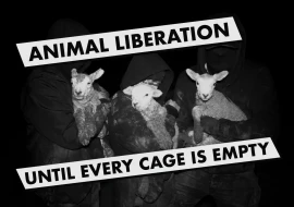 Animal Liberation - until every cage is empty